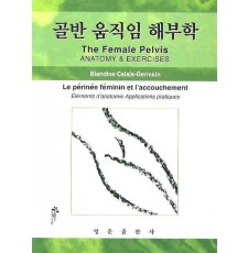 골반움직임 해부학